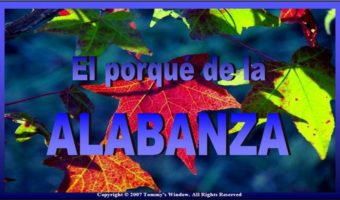 Alabanza