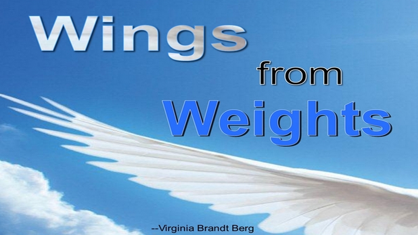 Wings from Weights Tommy's Window