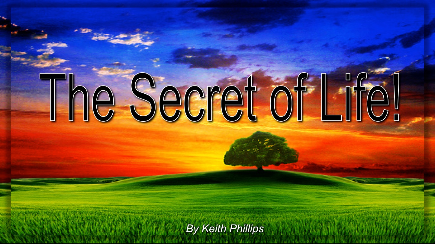 The Secret of Life Tommy's Window