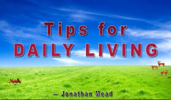 Tips for Daily Living - a presentation about enjoying Life - Tommy's Window