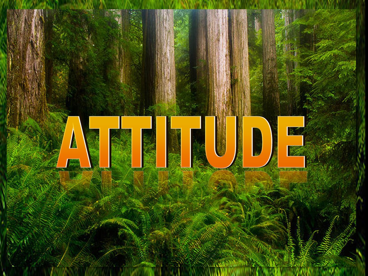 Attitude