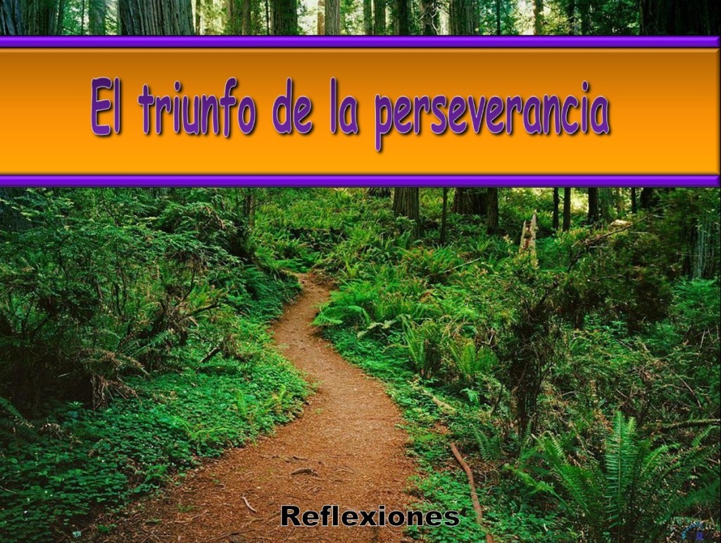 Perseverancia