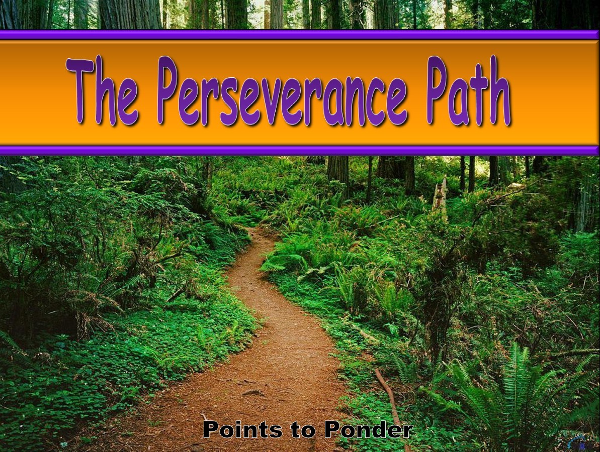 Perseverance