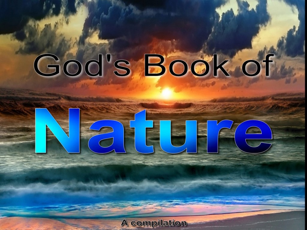 god-s-book-of-nature-a-powerpoint-about-nature-tommy-s-window