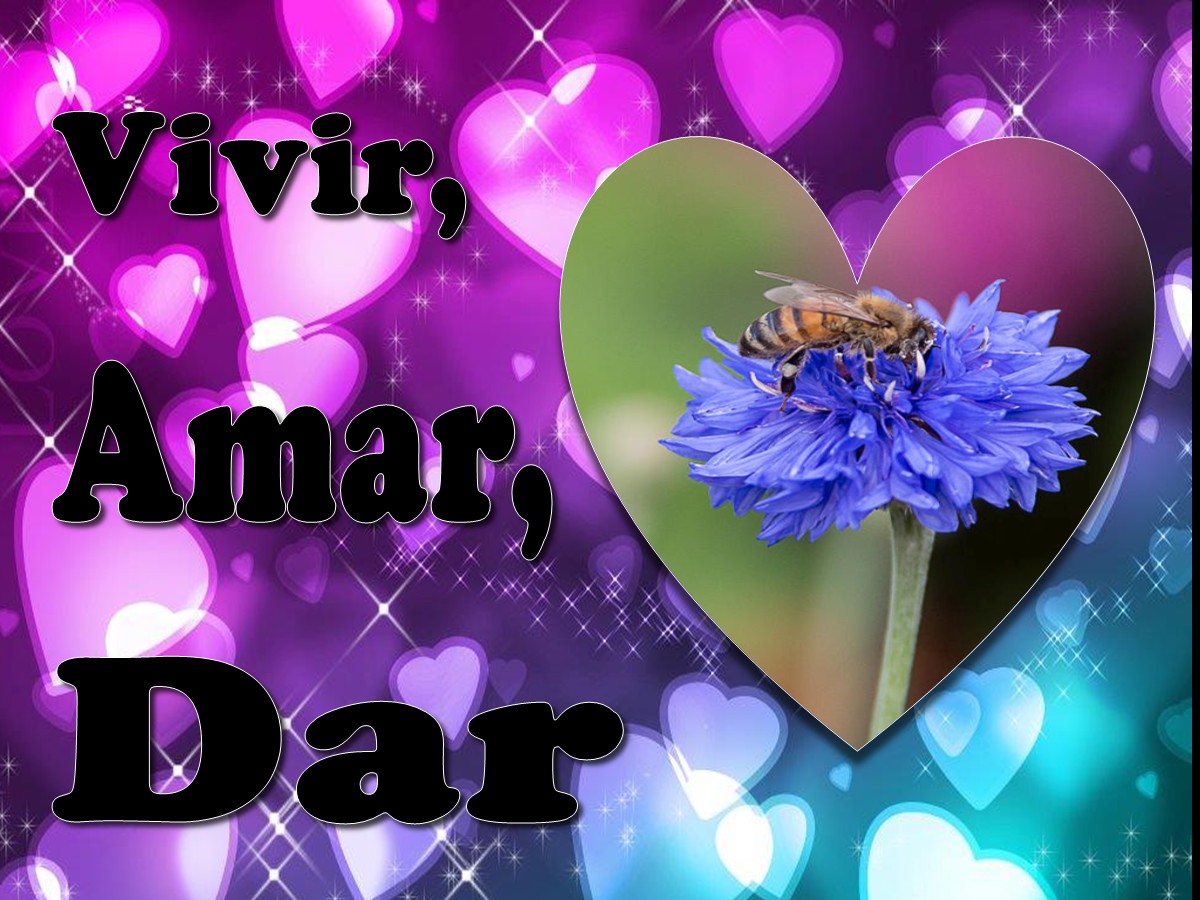 Vivir, Amar, Dar