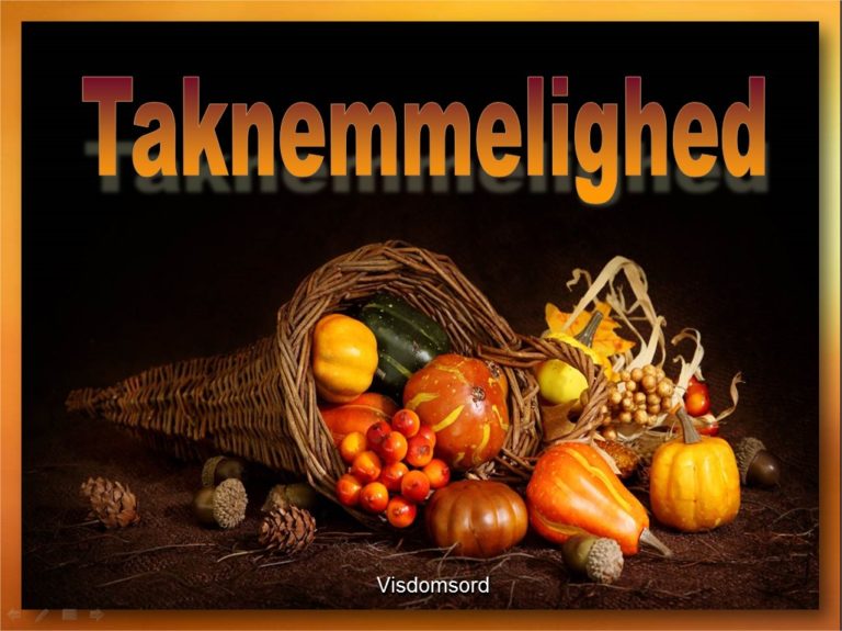 Taknemmelighed | Tommy's Window