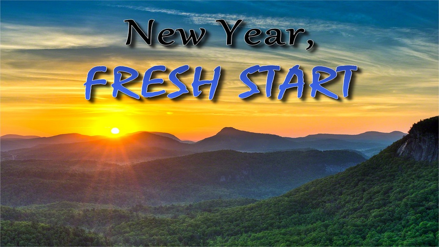 tiny new year fresh starts beginnings