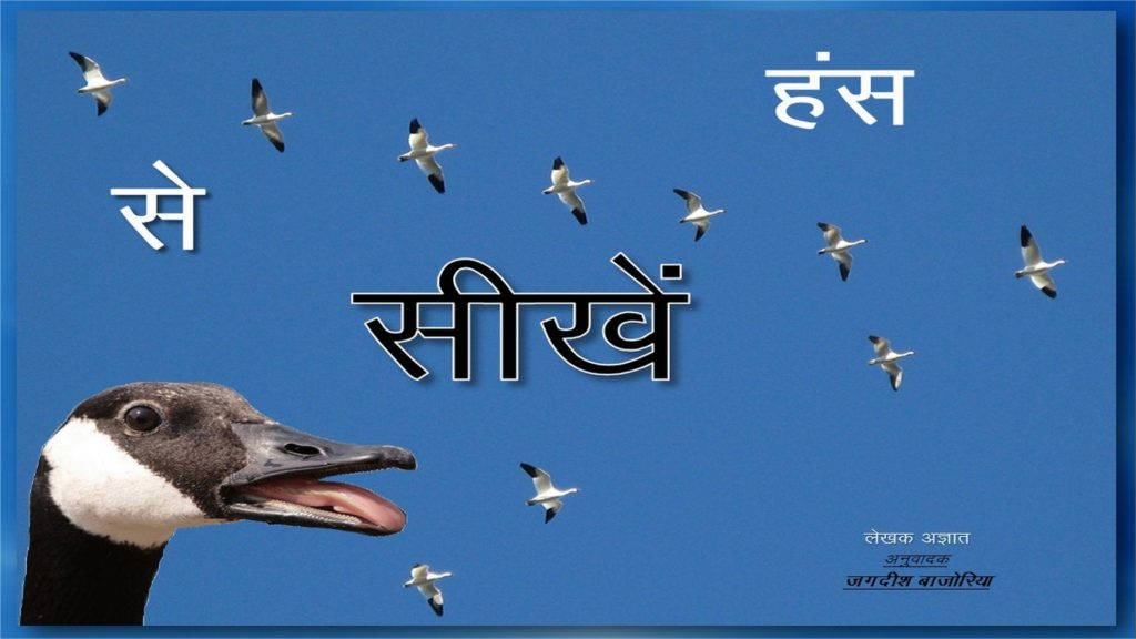 information about goose bird essay in hindi