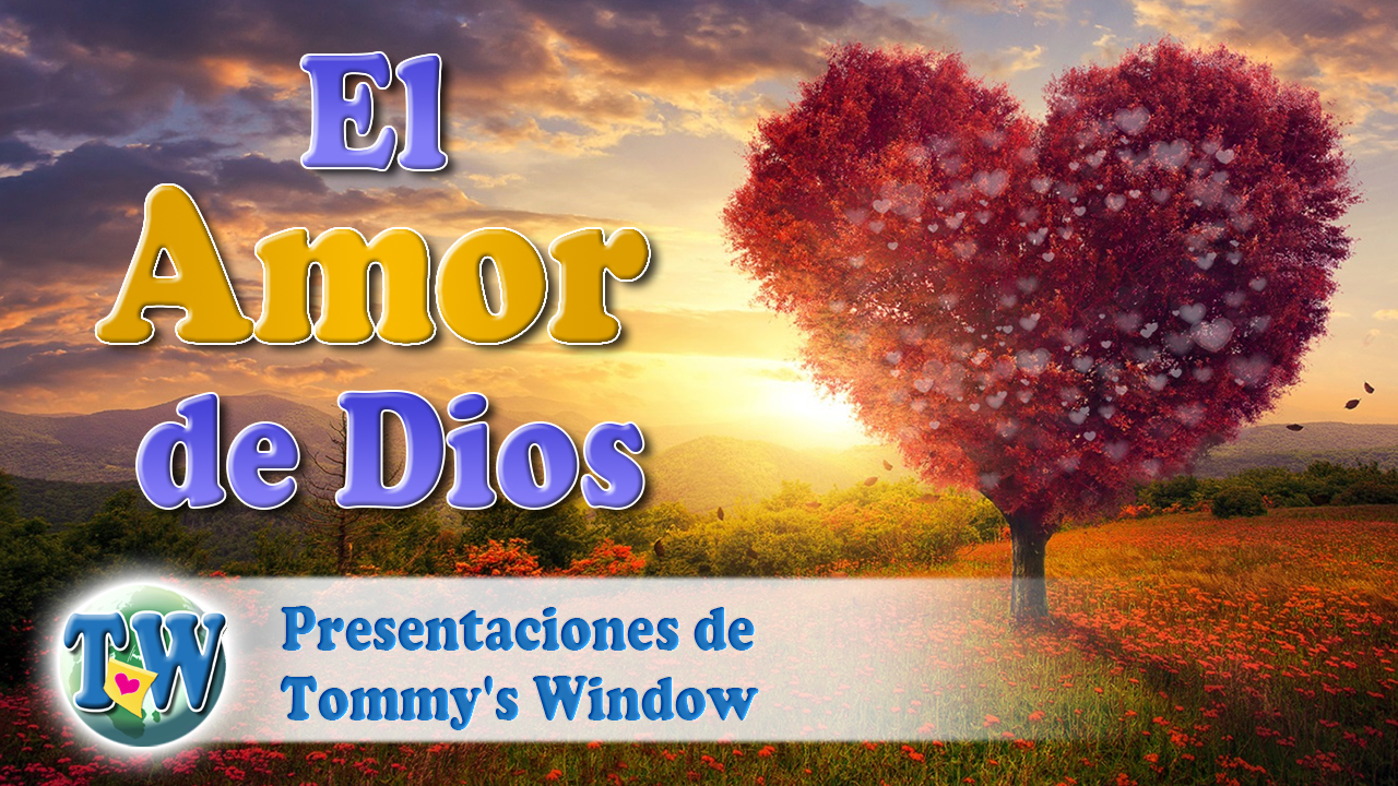 el-amor-de-dios-tommy-s-window