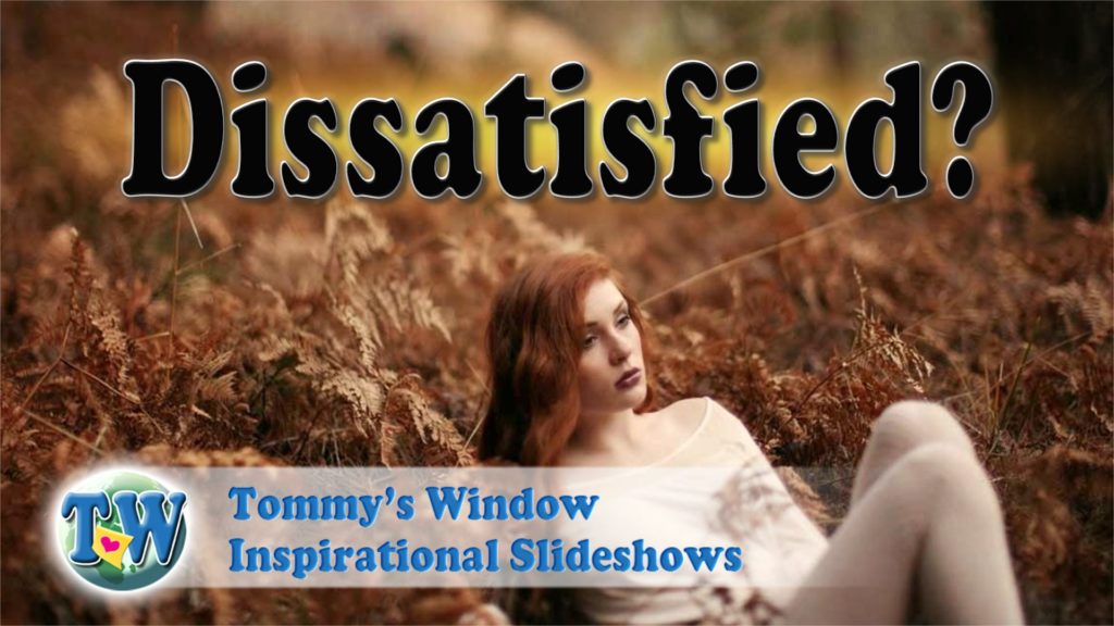 dissatisfied-tommy-s-window