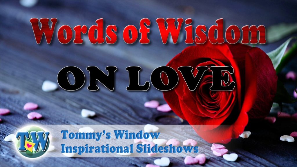 Words of Wisdom on Love - A loving heart is the truest wisdom. –Charles ...