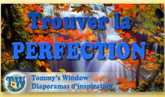 perfection,apparences,inspection,déception,entaché,symbole,problèmes,de près,jumelles,microscopes,désillusion,perception,perspectives