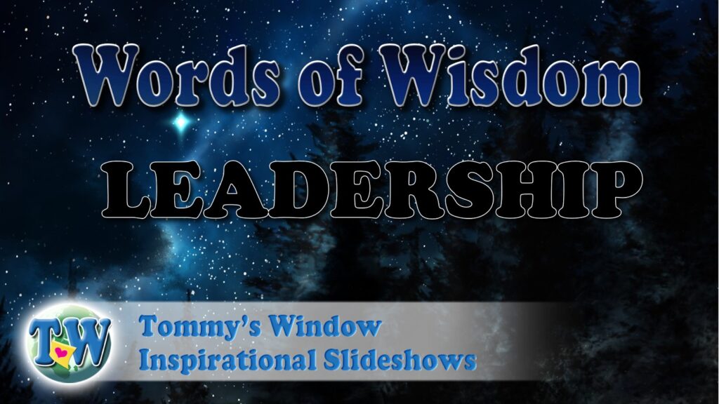 leadership,action,winning,conviction,coach,authority,goal,motivated,achieve,consequences,progress,results not attributes,servant