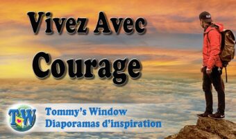 courageux,courage,clarté,sécurité,amour,faire confiance,défis,acte courageux,réputation,s'aligner sur l'amour,soigné,parfait,exemples
