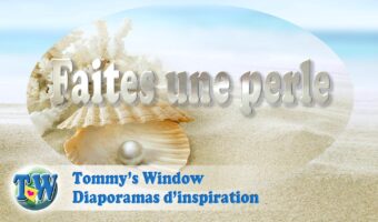 Irritations,extraordinaire,huître,perle,patience,douleur,créer,chef d'oeuvre