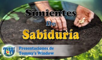 Simientes de sabiduría
