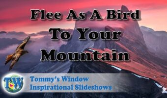 Flee as a Bird to Your Mountain - Gain a superior perspective for your life