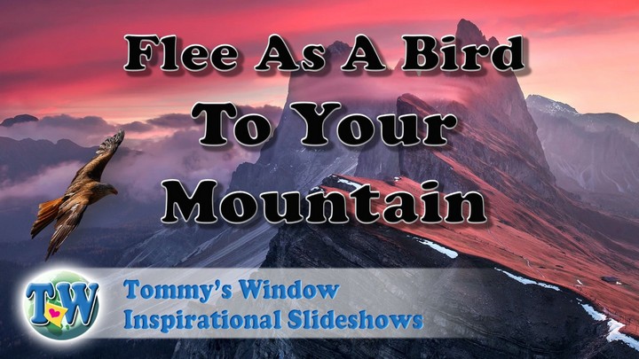 Flee as a Bird to Your Mountain - Gain a superior perspective for your life