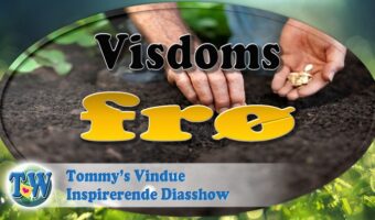 Visdoms frø