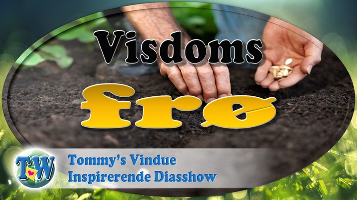 Visdoms frø