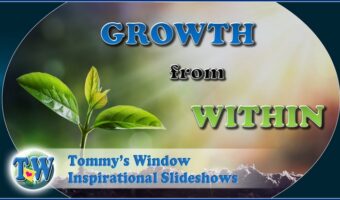 Growth from Within