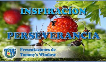 Inspiración y perseverancia