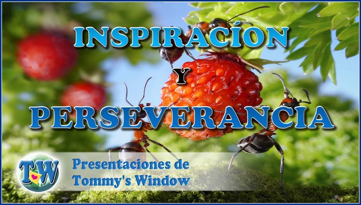 Inspiración y perseverancia