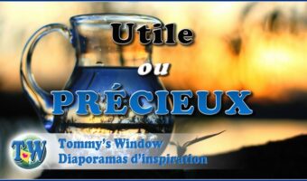 Utile ou précieux