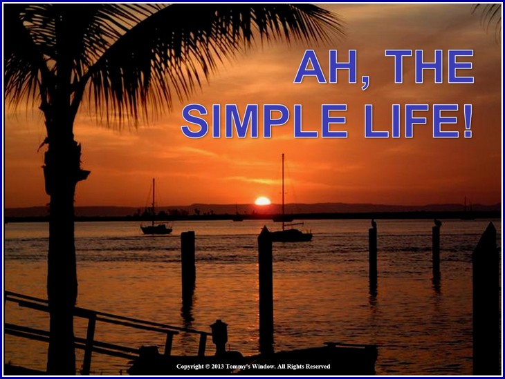 The Simple Life