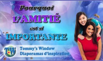 Pourquoi l'amitié est si importante