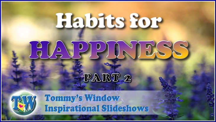 Habits for Happiness Part 2