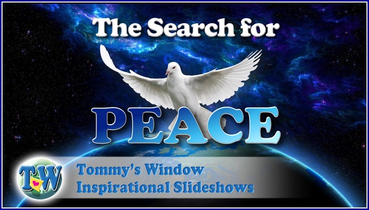 The Search for Peace