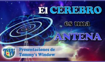 El cerebro es una antena