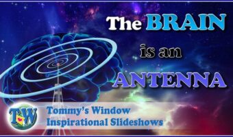 The Brain is an Antenna