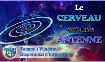 Le cerveau est une antenne