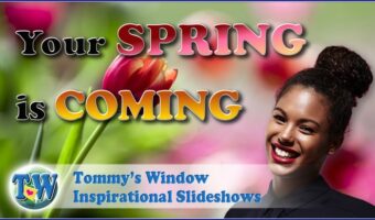 Your Spring is Coming