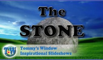 The Stone