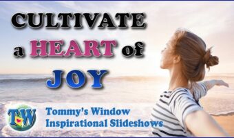 Cultivate a Heart of Joy