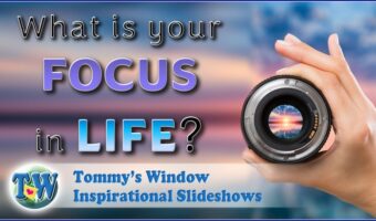 What is Your Focus in Life?