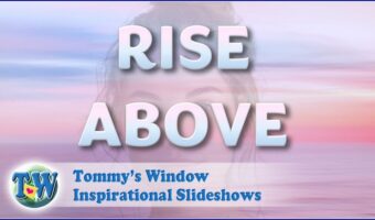 Rise Above