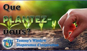 Que plantez-vous?