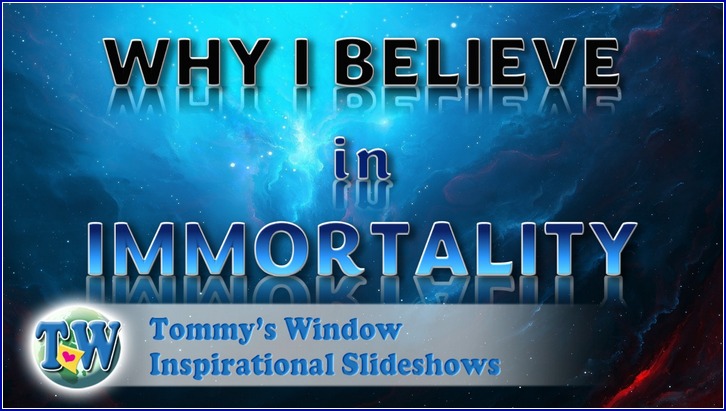 Why I Believe in Immortality