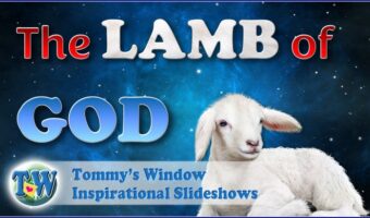 The Lamb of God