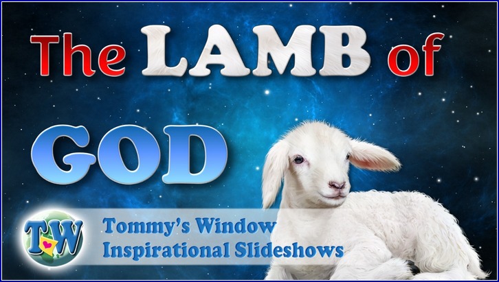 The Lamb of God