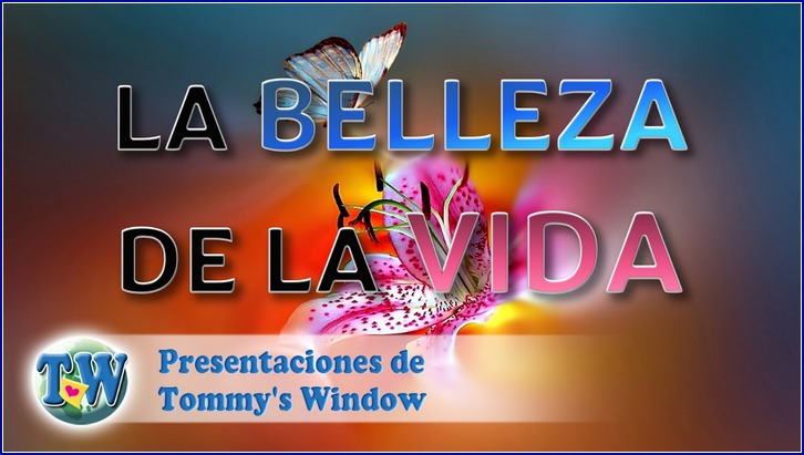 La belleza de la vida