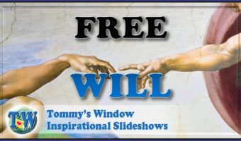 Free Will