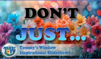 Don't Just...