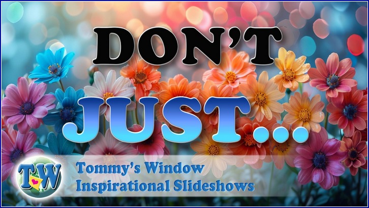 Don't Just...