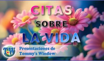 Citas sobre la vida