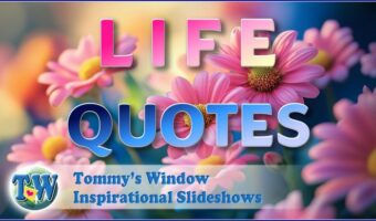 Life Quotes